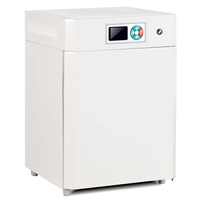 电热恒温培养箱 DHP-9082(80L)